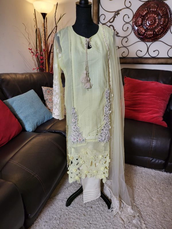 Karandi net 4pc 3D flowers and cut work. Cotton pants . Net dupatta with Lace