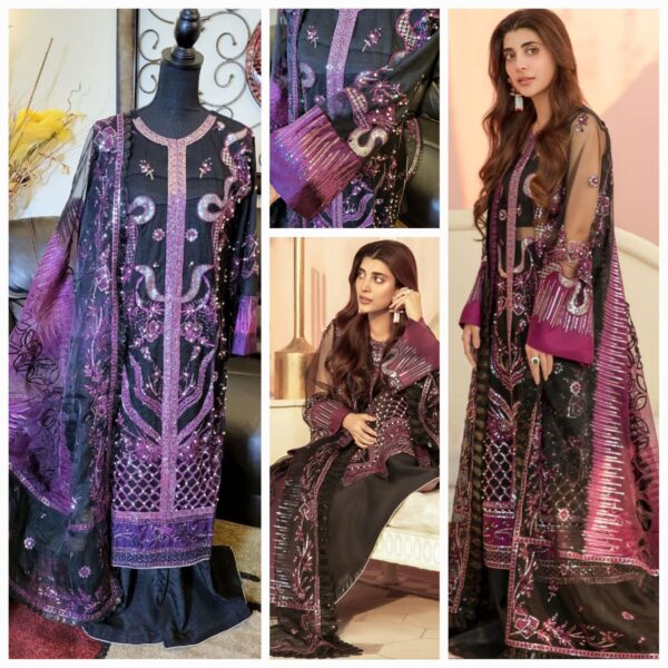 Bin Ilyas Embroidered and Embelished Wedding wear. Net and Silk with Organza duptta