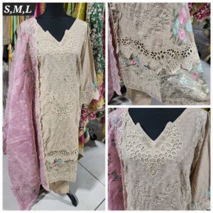 PAKISTANI CLOTHES ONLINE IN THE USA Indian Clothes / Dresses Online Shopping in the United States