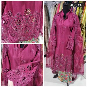 PAKISTANI CLOTHES ONLINE IN THE USA Indian Clothes / Dresses Online Shopping in the United States