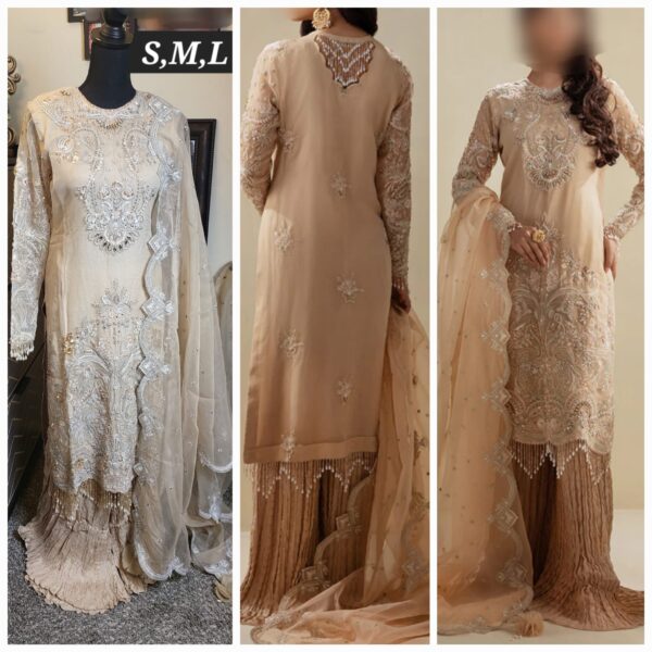 PAKISTANI CLOTHES ONLINE IN THE USA Indian Clothes / Dresses Online Shopping in the United States