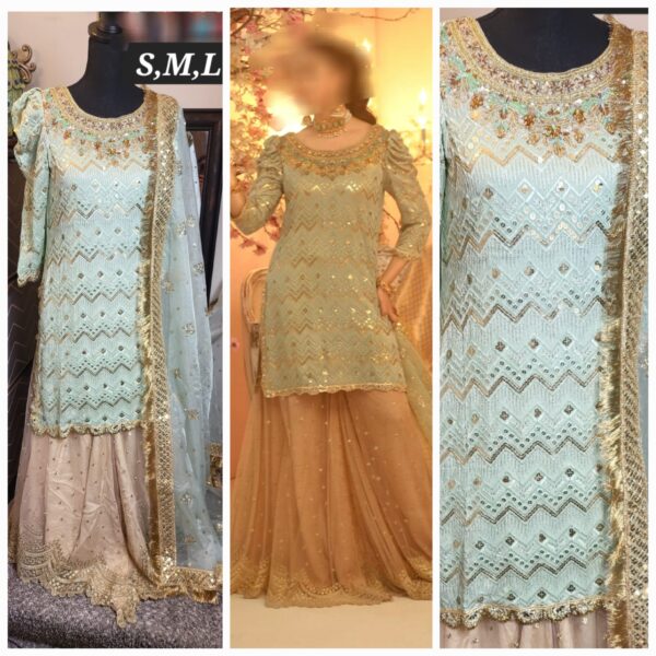 PAKISTANI CLOTHES ONLINE IN THE USA Indian Clothes / Dresses Online Shopping in the United States