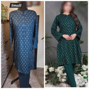 PAKISTANI CLOTHES ONLINE IN THE USA Indian Clothes / Dresses Online Shopping in the United States