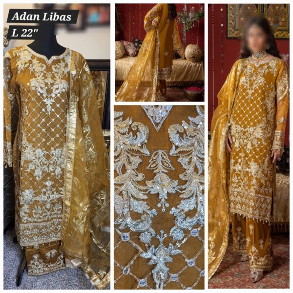 PAKISTANI CLOTHES ONLINE IN THE USA Indian Clothes / Dresses Online Shopping in the United States