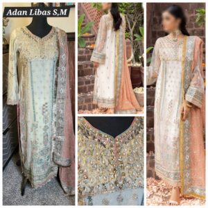 PAKISTANI CLOTHES ONLINE IN THE USA Indian Clothes / Dresses Online Shopping in the United States