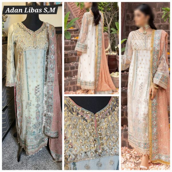 PAKISTANI CLOTHES ONLINE IN THE USA Indian Clothes / Dresses Online Shopping in the United States