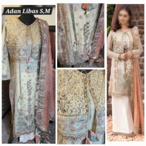 PAKISTANI CLOTHES ONLINE IN THE USA Indian Clothes / Dresses Online Shopping in the United States