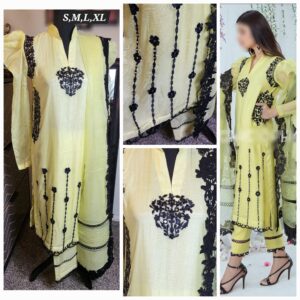 SHOP PAKISTANI and INDIAN CLOTHES ONLINE IN THE USA