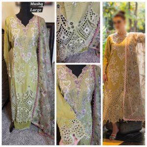 PAKISTANI CLOTHES ONLINE IN THE USA Indian Clothes / Dresses Online Shopping in the United States